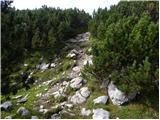 Planina Ravne - Kocbekov dom na Korošici